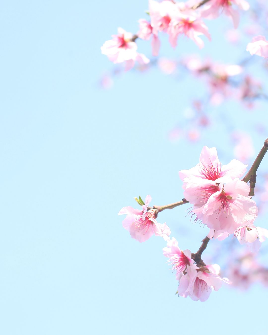 Equinox: Tending the Heartfire Retreat